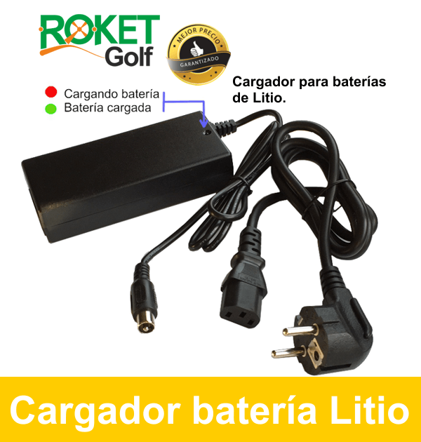 Drástico Formular Fontanero Cargador batería Litio LiFePo4., 12V